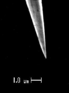 Hroty-Picoprobe-pro mikromanipulátory (Picoprobe tips for micromanipulators) 