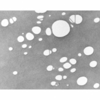 Doprovodný obrázek