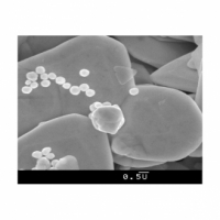 Doprovodný obrázek