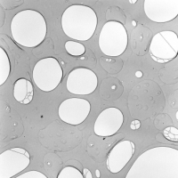 Doprovodný obrázek