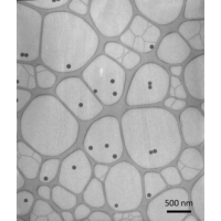 Doprovodný obrázek